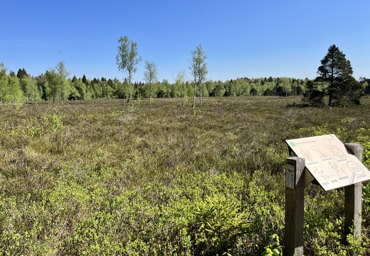 23-05-27 10-44-05 5719